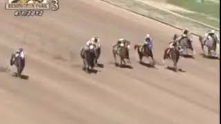 Chew Chew Showtime Race @remington park 2012