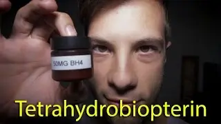 Tetrahydrobiopterin BH4 experiment - detoxify AMMONIA/regulate METHYLATION mutations