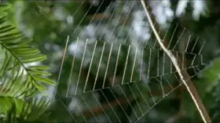 Amazing hunters 3