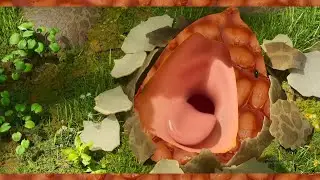The BEANS Beast