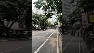 Gil Puyat Ave. - Chino Roces Avenue