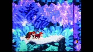 Slipslide Ride - Donkey Kong Country: 101% Walkthrough
