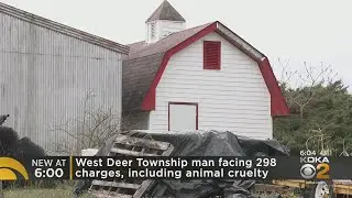 West Deer Township Man Facing Nearly 300 Charges Related To Animal Cruelty And Neglect