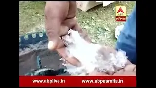 -1.4 degree temperature in Mount Abu