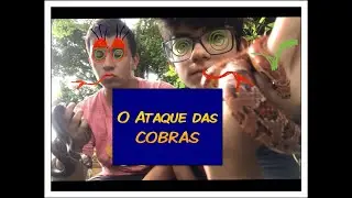 Mini Vegano, o ataque das cobras!!! Não compre animais...