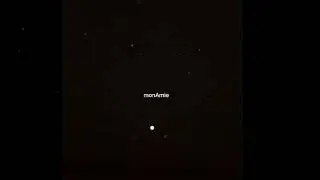 Кот Балу , MIRALI - MonAmie