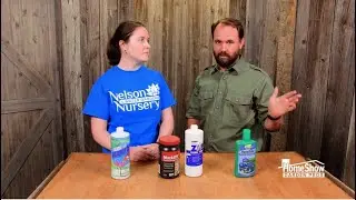 Keeping Your Koi Pond Clean