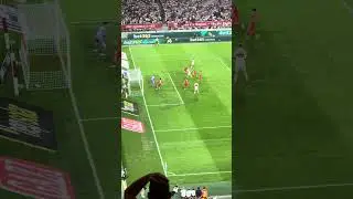 Tor 1:0 VfB Stuttgart gegen St. Pauli durch Ermedin Demirovic #vfb #vfbstuttgart #vfbstp #stadion