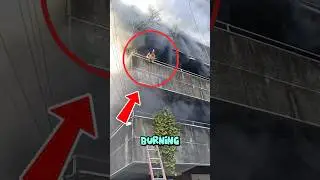 This Fur Mom Risked Her Life in a Fire to Save Her Dogs 💔🔥