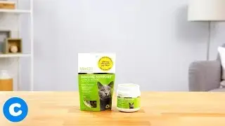 Tomlyn Immune Support L-Lysine Supplements | Chewy