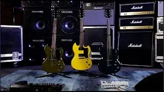 Guild Polara Overview