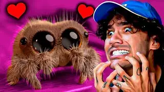 ESSA &Eacute; A ANIMA&Ccedil;&Atilde;O MAIS FOFA QUE VOC&Ecirc; VAI VER NA VIDA! LUCAS A ARANHA