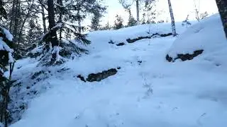Small Adventures In Finland  &ndash;  Walk In Winter Forest