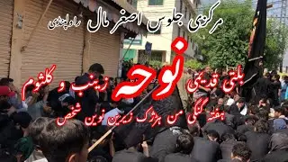 zainabo kulsoom jumla yateema | 2024 Juloos Asghr Mall | zainabo kulsoom, markazi juloos Rawalpindi