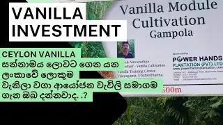 Ceylon Vanilla සන්නාමය ලොවට ගෙන යන ලංකාවේ විශාලම ආයෝජන වැවිලි සමාගම. Power Hands Plantation Pvt Ltd
