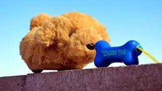 The Happy's Pets Review - Unboxing and Testing