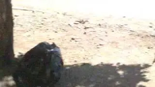 MOTOKEANDO!