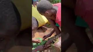 Walking 15km to fetch borehole water for drinking #youtube #love #uk #viral #africa #us #food #usa