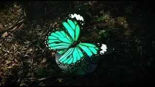 3D Scene with AI Motion | amimoth Brand Film