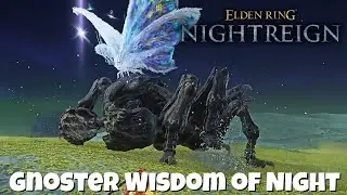I Hated This Boss In Nightreign Gnoster Wisdom of Night