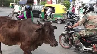 CRAZY INCREDIBLE  INDIAN TRAFFIC