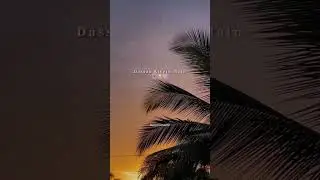 one love🧿 subh #love #song #music #shortvideo