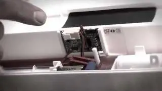 Pest Control - UK