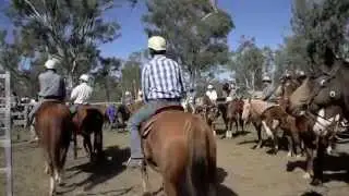 Muster time at Barmah