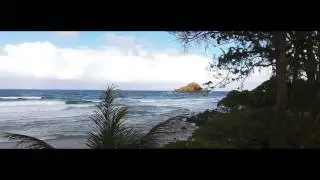 FLO - Jamcoast Dub [ft. Kalambasstik Sound]