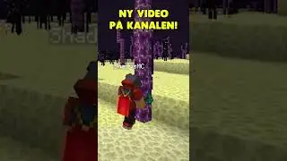 Alt Kan Ske i The End! #shorts #minecraft