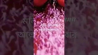 #ইসলামিক_ভিডিও #islamic #viralshorts #viralshort viralshort#newsong #orgazm orgaz#best