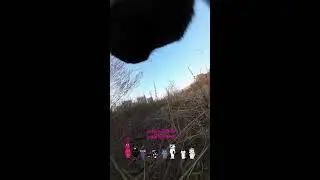 Living as a Cat &mdash; A Calm POV Livestream