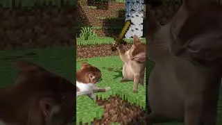 Meme de Minecraft con un Final INESPERADO | Cuando gastas 3 espadas para NADA 😂