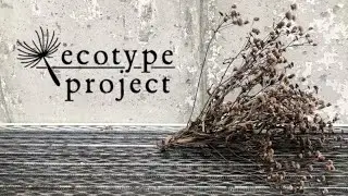 Aspetuck Land Trust - The Ecotype Project
