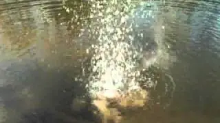 homemade black powder depth charge