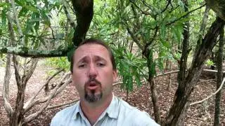 Operation Green Parrot - Norfolk Island National Park manager Craig Doolan
