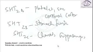 Lec 3 Serotonin Receptors   5 HT2