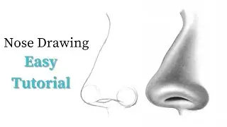 Best way to draw a nose for beginners