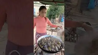 Boil Mussels #foresttour