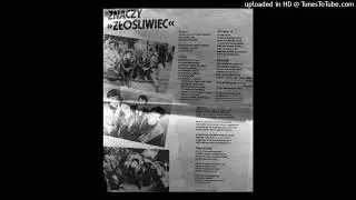 ZOILUS -'''' Wielki festiwal ''
