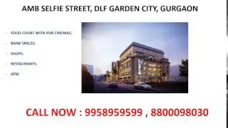 9958959599, amb selfie street, amb commercial sector 92 gurgaon, amb dlf garden city