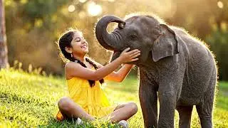 Girls playing with elephant 🐘🐘🐘🐘🐘