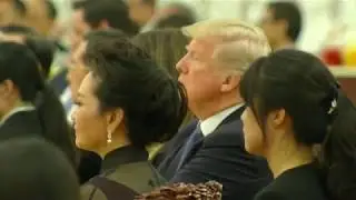 President Trump & Melania Attend a State Dinner with President Xi in Beijing, China 11/9/17