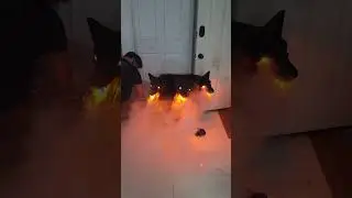 Spirit Halloween cerberus with fog machine