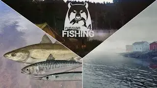 Am 34er Silber und Prozente machen! - Ehrenfischer Nordmeer | Russian Fishing 4
