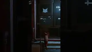 Cat Just Vibes 🐾 Stray 18 #cat #chill #furry
