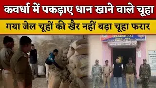 कवर्धा में चूहा गिरफ्तार शुरू हुआ ‘चूहा पकड़ो अभियान,सीधे भेजा गया जेल!बाकी चूहों की तलाश जारी..