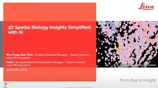 3D Spatial Biology Insights Simplified with AI