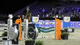 Entertainer (Warrant x Corland 2009) CSI 4* Jumping Indoor Maastricht