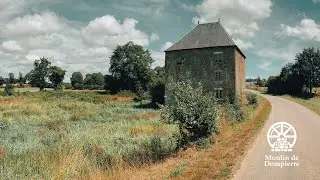 Our French Water Mill Renovation